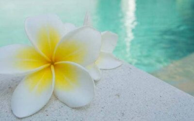 Beneficios del SPA para tu bienestar